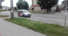 Fotka nr 1 z 20