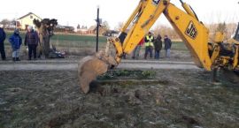 zdjęcie nr 7