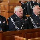 zdjęcie nr 12