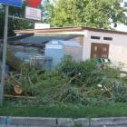 zdjęcie nr 15