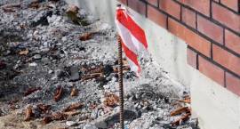 zdjęcie nr 7