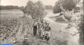 zdjęcie nr 66