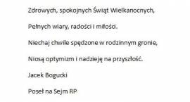 zdjęcie nr 11