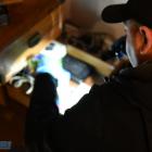 Fotka nr 0 z 12