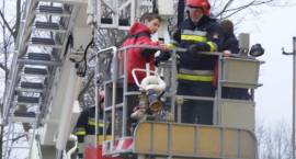 Ćwiczenia P-POŻ i pierwszy dzień wiosny w SP w Starym Zakrzewie