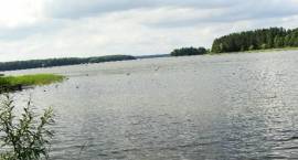 zdjęcie nr 10