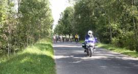 zdjęcie nr 33