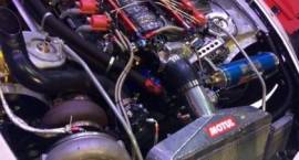 Fotka nr 2 z 31