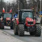 zdjęcie nr 74