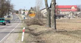 zdjęcie nr 7