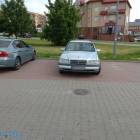 Fotka nr 5 z 36