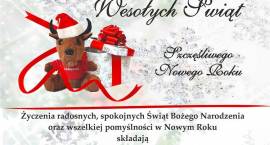 zdjęcie nr 20