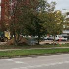 zdjęcie nr 7