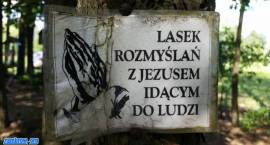 zdjęcie nr 79