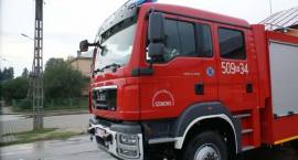 zdjęcie nr 8