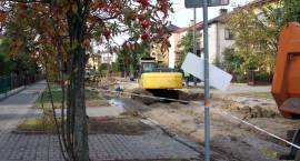 zdjęcie nr 8