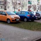 zdjęcie nr 11