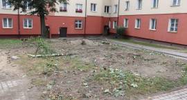 zdjęcie nr 11