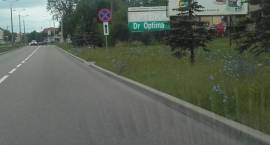 zdjęcie nr 19