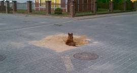 zdjęcie nr 8