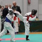 Fotka nr 5 z 42