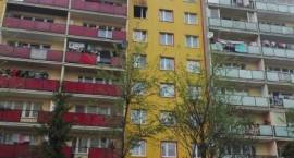 zdjęcie nr 11