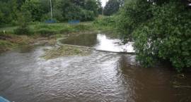 zdjęcie nr 8