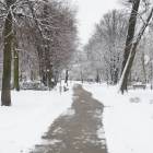 zdjęcie nr 15