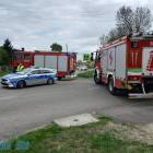 Fotka nr 5 z 12