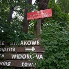 zdjęcie nr 26
