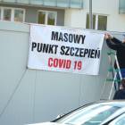 zdjęcie nr 19