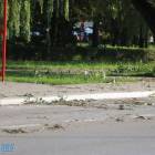 zdjęcie nr 13