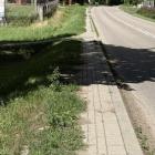 zdjęcie nr 20