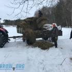 Fotka nr 3 z 11