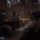 Fotka nr 2 z 10