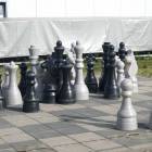 zdjęcie nr 8