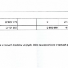 Fotka nr 5 z 6