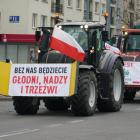Fotka nr 2 z 117