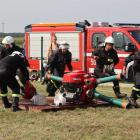 zdjęcie nr 135