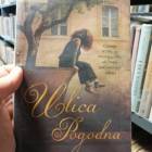 zdjęcie nr 15