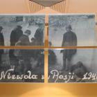 Fotka nr 5 z 41