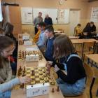 Fotka nr 2 z 8