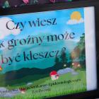 zdjęcie nr 76