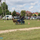 zdjęcie nr 34
