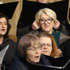 zdjęcie nr 14
