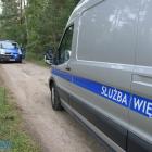 zdjęcie nr 