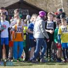 zdjęcie nr 26