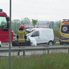 Fotka nr 3 z 18