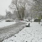 zdjęcie nr 9