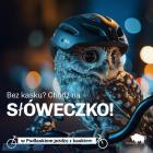 Fotka nr 2 z 17